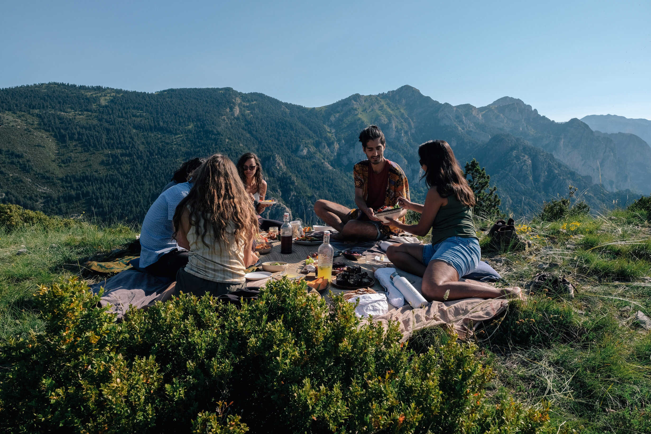 PICNIC---token-portrait-2.jpg